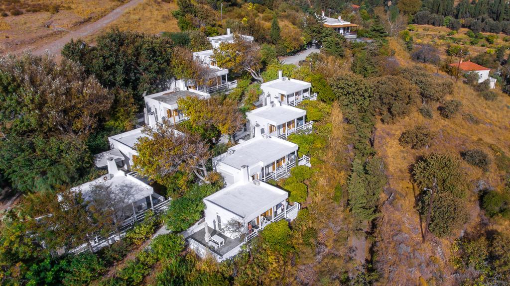 Irene'S Villas Άνδρος Εξωτερικό φωτογραφία