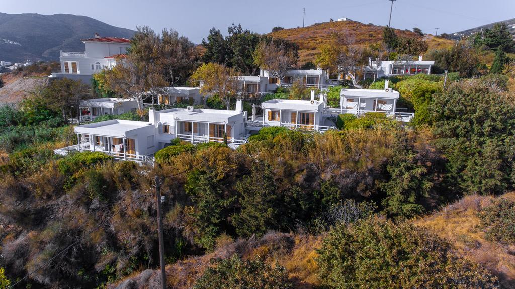 Irene'S Villas Άνδρος Εξωτερικό φωτογραφία